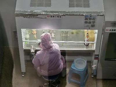 機械化助力食用菌產業化生產 為鄉村振興撐開“致富傘”