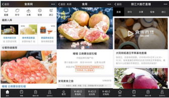杭州四喜托管可信嗎？事實說話 食庫網(wǎng)農(nóng)產(chǎn)品基地加工與品牌營銷的領航者