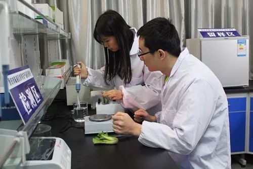 這一年，嚴字當頭 護航舌尖上的安全，食用農(nóng)產(chǎn)品初加工