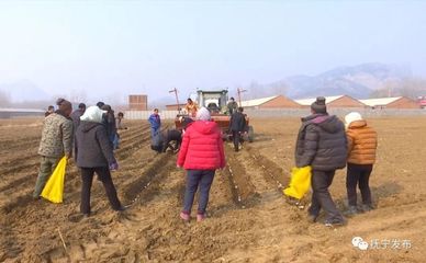 種地也能發財！撫寧人靠食用農產品初加工走穩致富路